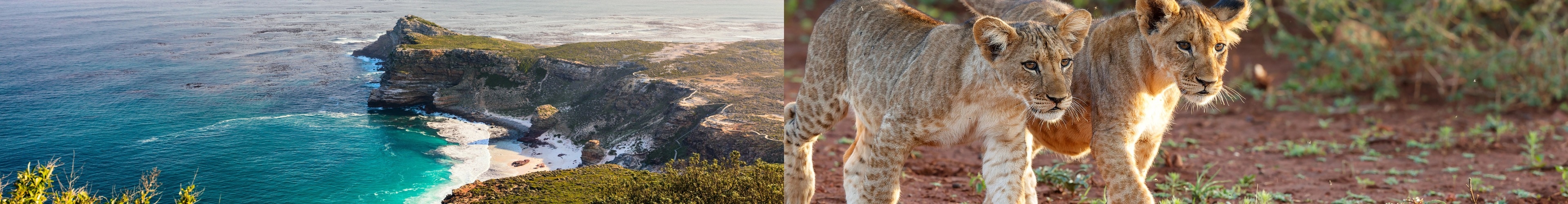 Les Trésors du Cap : Safari, Océans & Vignobles - Vols inclus